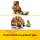 LEGO CREATOR 31376 Uroczy chomik z kwiatkiem - 1473425 - zdjęcie 14